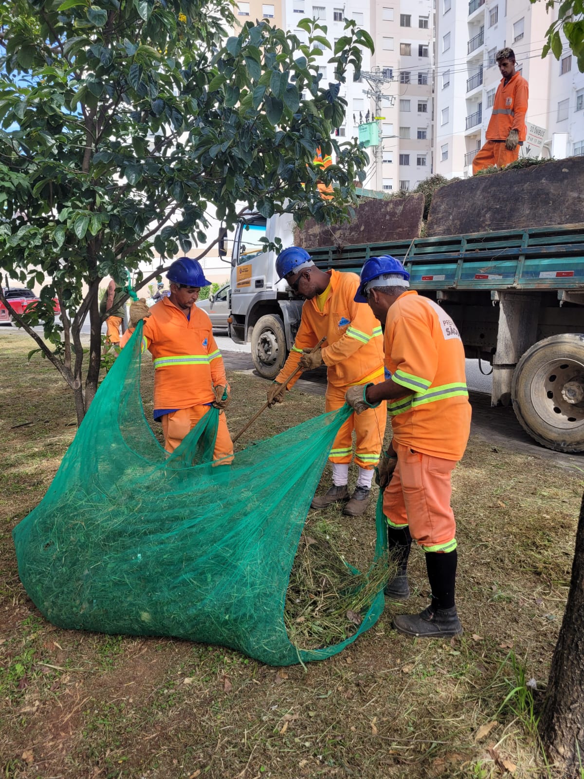 Imagem de três funcionários recolhendo as gramas de uma praça